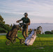 KVV Golf Bag and KVV Golf Push Cart